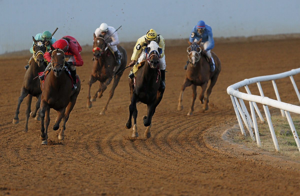 62. Place a bet on the ponies at Fair Meadows